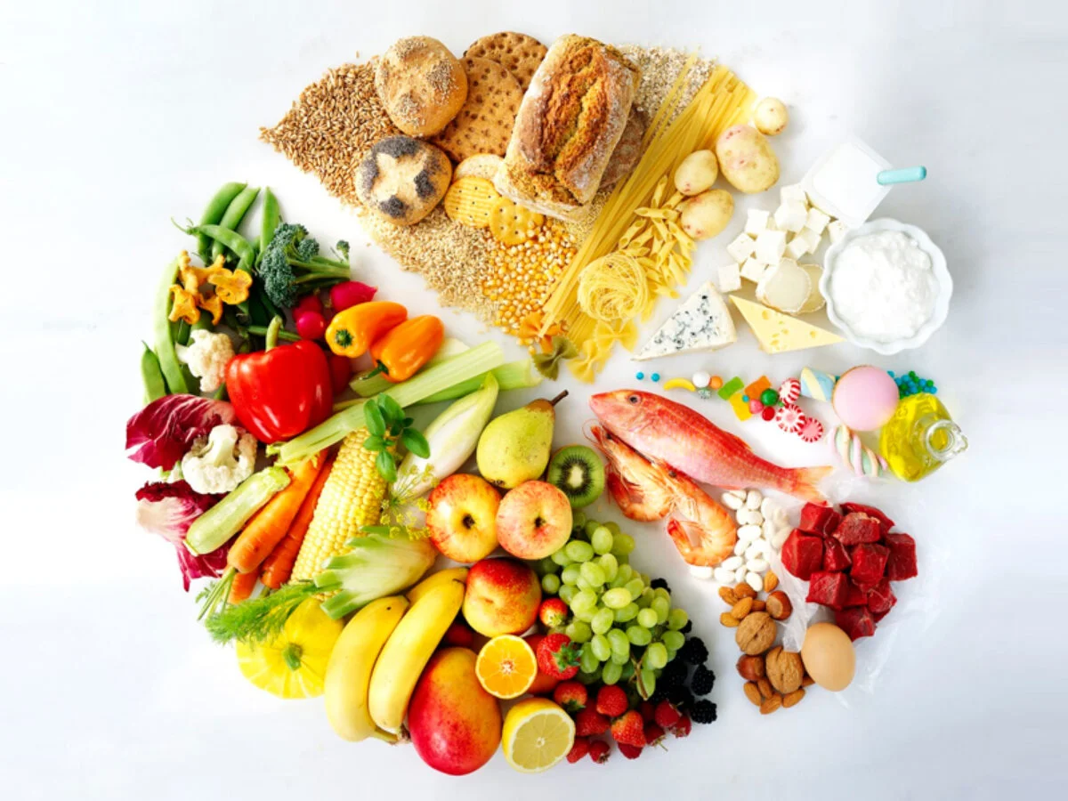 Plan de Alimentación